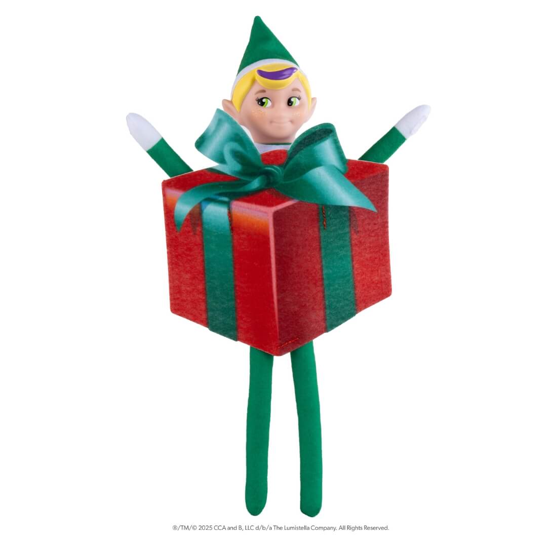 The Elf on the Shelf® Elf Mates® Costume - Gift Box