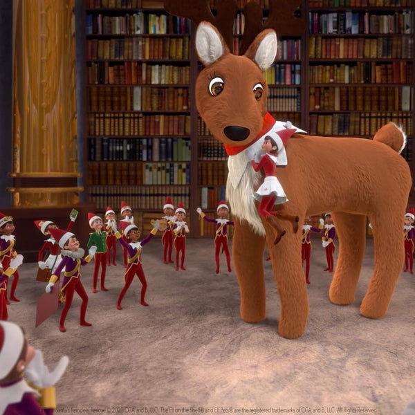 Elf Pets®: Santa's Reindeer Rescue DVD - The Elf on The Shelf